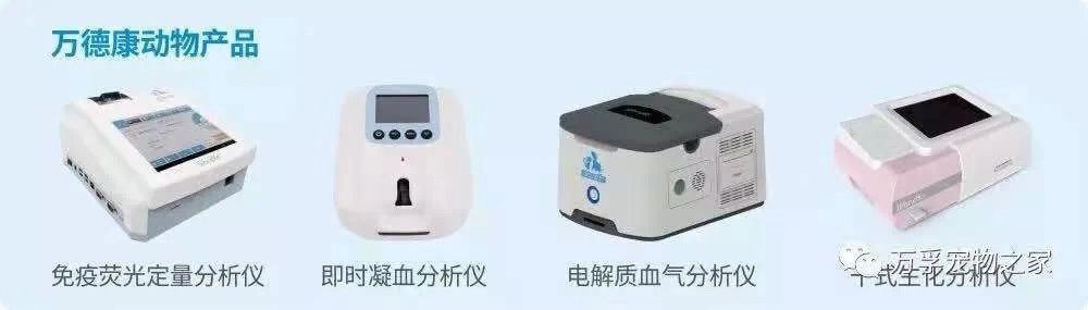 图片4_副本.jpg